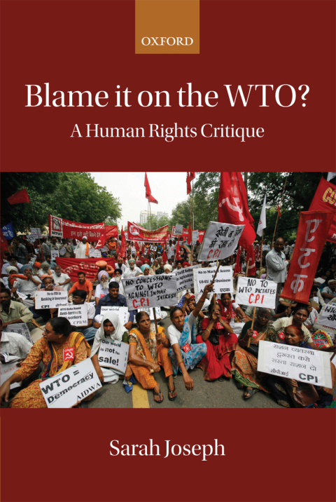 Book Blame it on the WTO? free