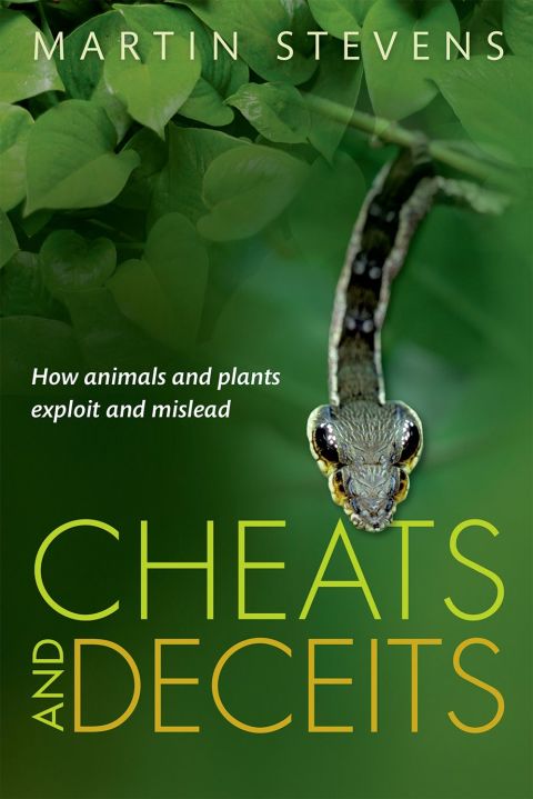 Book Cheats and Deceits free