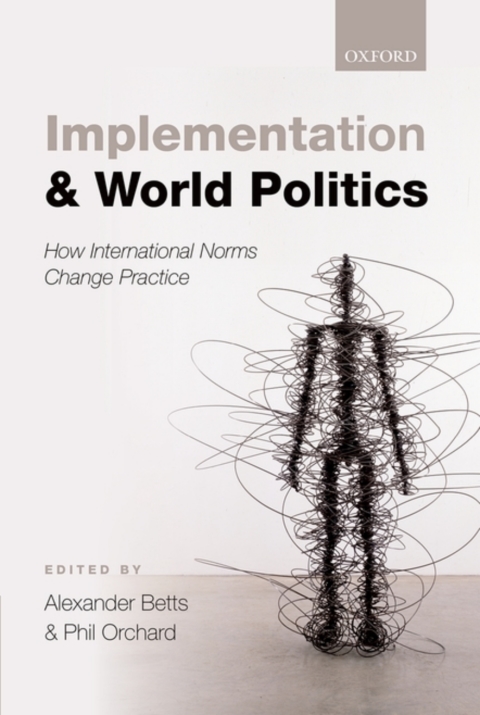 Book Implementation and World Politics: How International Norms Change Practice free