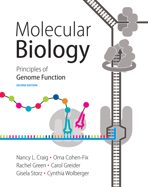 Book Molecular Biology free