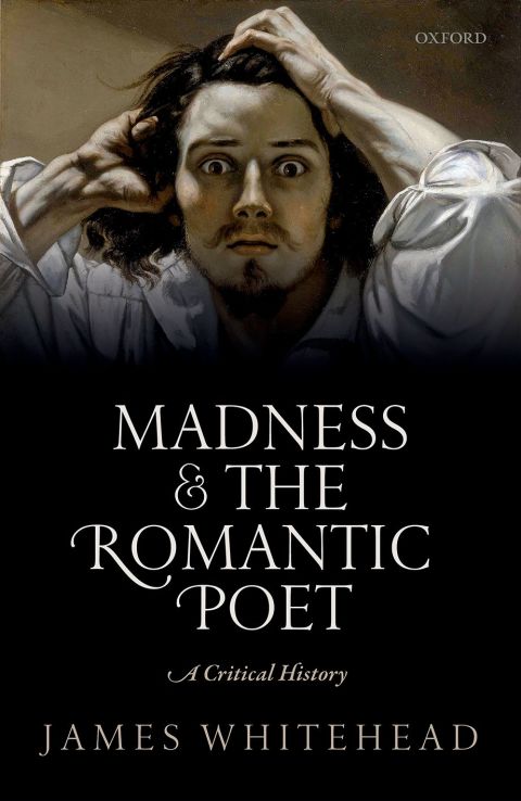 Book Madness and the Romantic Poet: A Critical History free