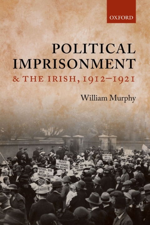 Book Political Imprisonment and the Irish, 1912-1921 free