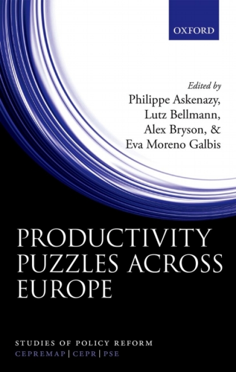 Book Productivity Puzzles Across Europe free