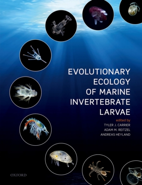 Book Evolutionary Ecology of Marine Invertebrate Larvae free