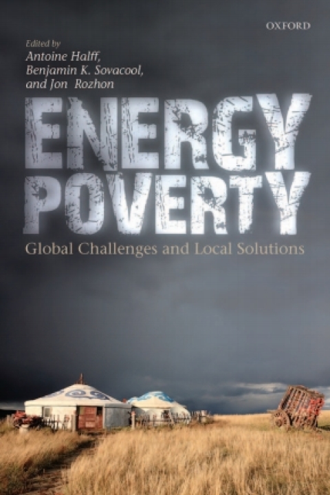 Book Energy Poverty: Global Challenges and Local Solutions free