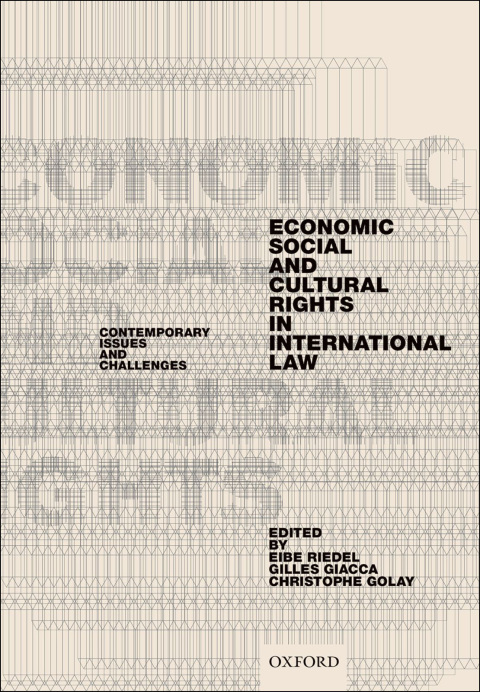 Book Economic, Social, and Cultural Rights in International Law free