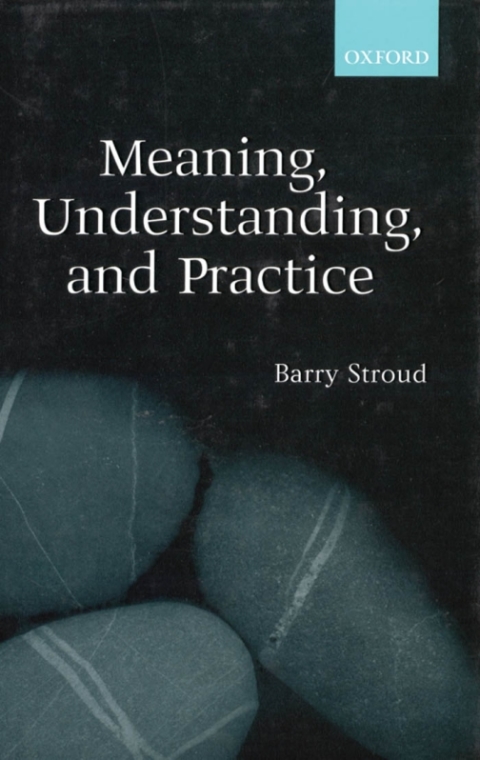 Book Meaning, Understanding, and Practice free