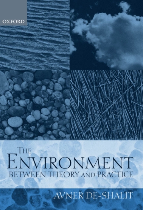 Book The Environment Between Theory and Practice free