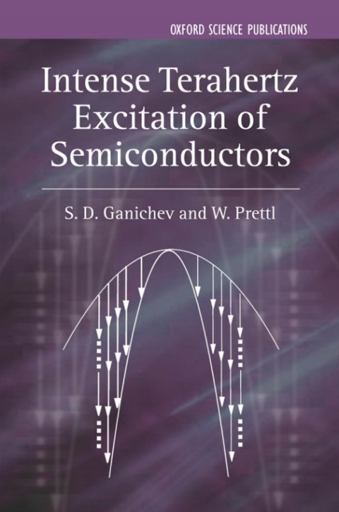 Book Intense Terahertz Excitation of Semiconductors free