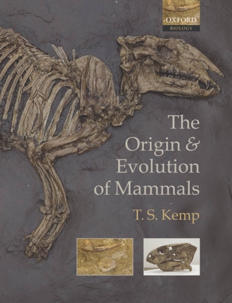 Book The Origin and Evolution of Mammals free