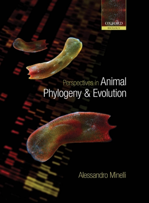 Book Perspectives in Animal Phylogeny and Evolution free