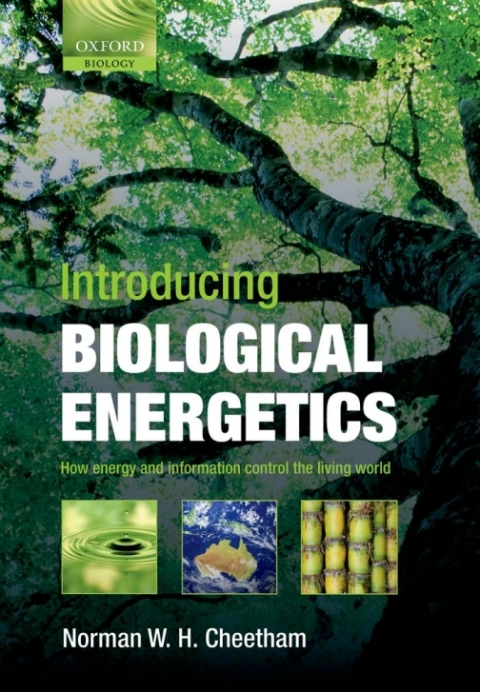 Book Introducing Biological Energetics: How Energy and Information Control the Living World free