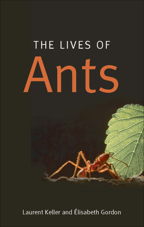 Book The Lives of Ants free