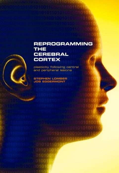 Book Reprogramming the Cerebral Cortex: Plasticity Following Central and Peripheral Lesions free