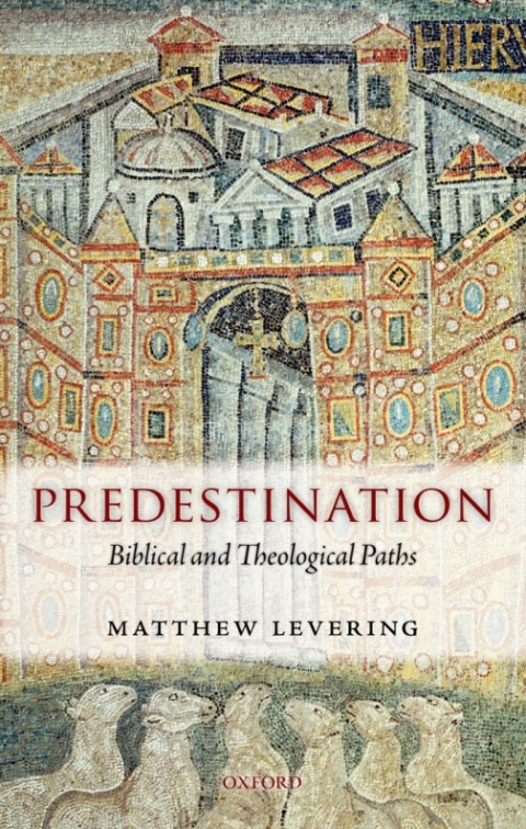 Book Predestination: Biblical and Theological Paths free