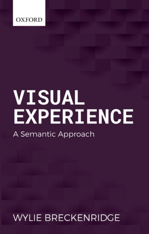 Book Visual Experience: A Semantic Approach (Oxford Philosophical Monographs) free