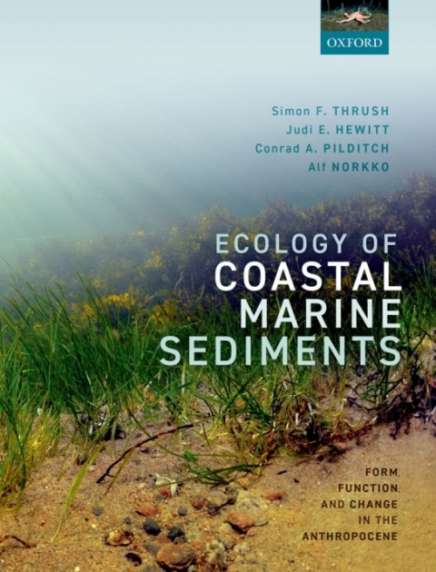 Book Ecology of Coastal Marine Sediments: Form, Function, and Change in the Anthropocene free