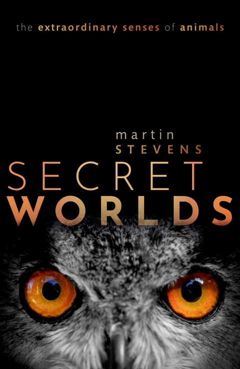 Book Secret Worlds free