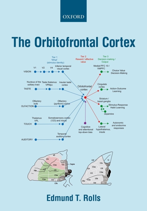 Book The Orbitofrontal Cortex free