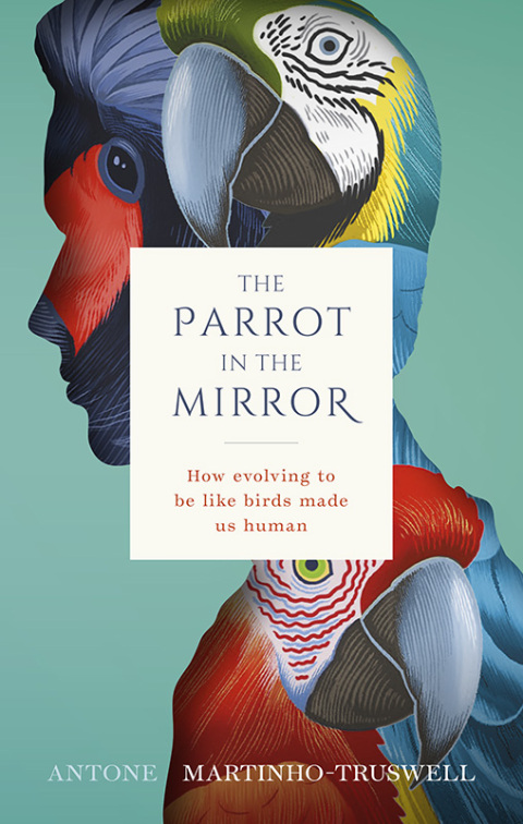 Book The Parrot in the Mirror free