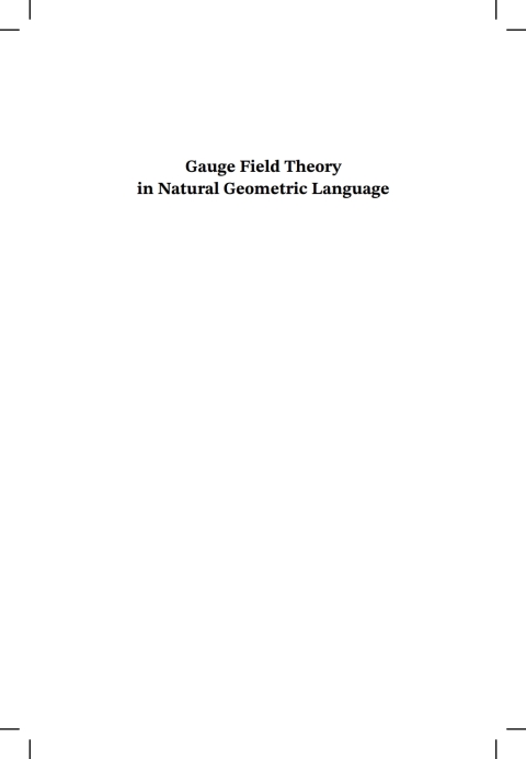 Book Gauge Field Theory in Natural Geometric Language: A revisitation of mathematical notions of quantum physics free