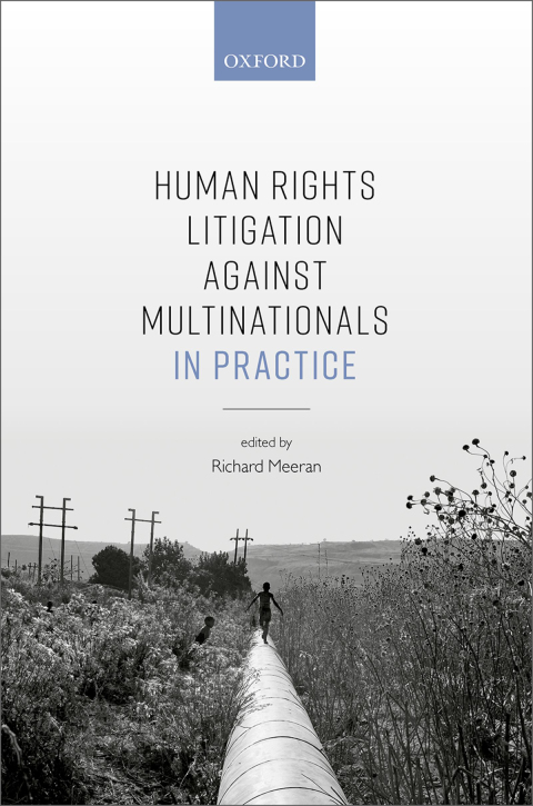 Book Human Rights Litigation against Multinationals in Practice free