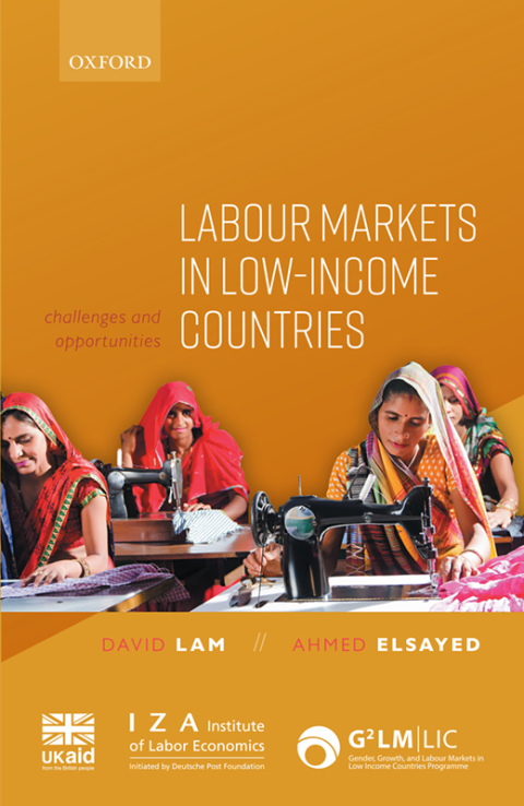 Book Labour Markets in Low-Income Countries free