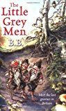 Book The Little Grey Men (Oxford Children's Modern Classics) free