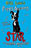 Book Puppy Academy: Star on Stormy Mountain free