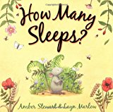 Book How Many Sleeps?. Amber Stewart and Layn Marlow free
