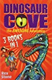 Book The Awesome Adventure free
