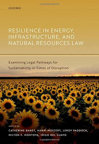 Book Resilience in Energy, Infrastructure, and Natural Resources Law: Examining Legal Pathways for Sustainability in Times of Disruption free