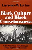 Book Black Culture and Black Consciousness: Afro-American Folk Thought from Slavery to Freedom (Galaxy Books) free