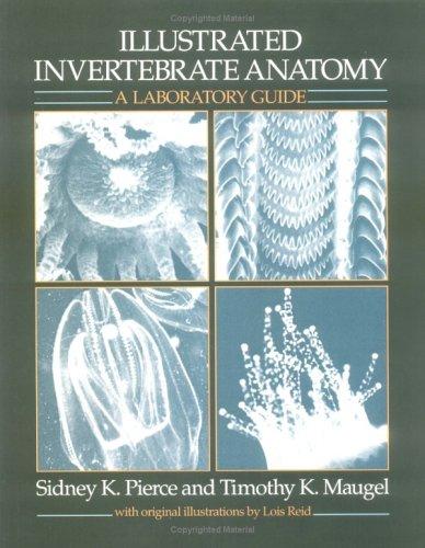 Book Illustrated Invertebrate Anatomy: A Laboratory Guide free