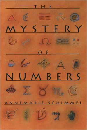 Book The Mystery of Numbers (Oxford Paperbacks) free