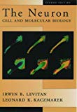 Book The Neuron: Cell and Molecular Biology free