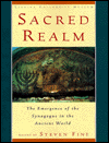 Book Sacred Realm: The Emergence of the Synagogue in the Ancient World free