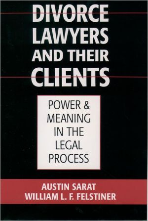 Book Divorce Lawyers and Their Clients: Power and Meaning in the Legal Process free