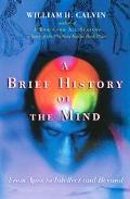Book A Brief History of the Mind: From Apes to Intellect and Beyond free