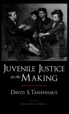 Book Juvenile Justice in the Making (Studies in Crime and Public Policy) free
