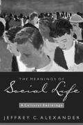 Book The Meanings of Social Life: A Cultural Sociology free