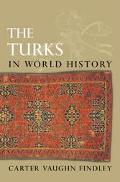 Book The Turks in World History free