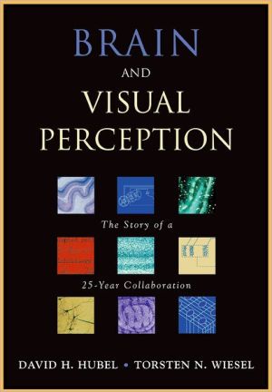 Book Brain and Visual Perception: The Story of a 25-Year Collaboration free
