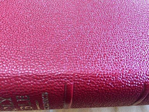 Book The Oxford Concise Concordance to the Revised Standard Version of the Holy Bible free