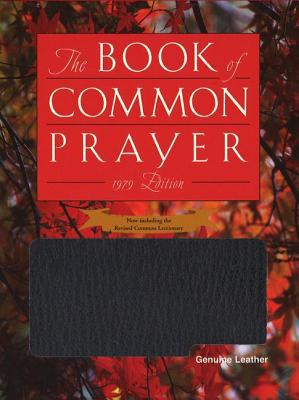 Book 1979 Book of Common Prayer Personal Edition free