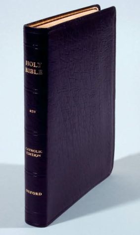 Book The Revised Standard Version Catholic Bible: Reader's Version free