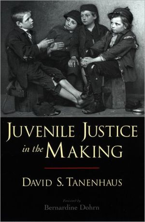 Book Juvenile Justice in the Making (Studies in Crime and Public Policy) free