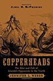 Book Copperheads: The Rise and Fall of Lincoln's Opponents in the North free