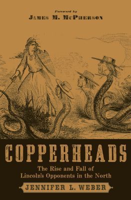 Book Copperheads: The Rise and Fall of Lincoln's Opponents in the North free