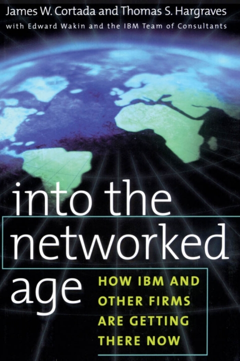 Book Into the Networked Age: How IBM and Other Firms are Getting There Now free